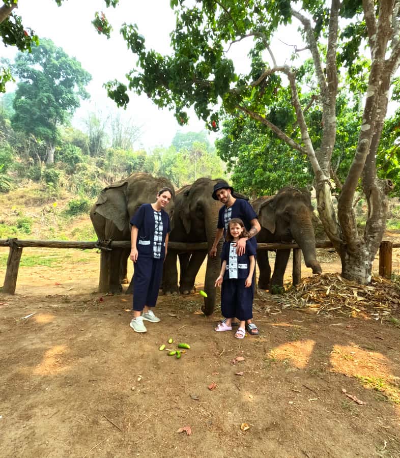 From Chiang Mai: Chiang Mai Elephant Care Morning Program - Who will enjoy this morning most?