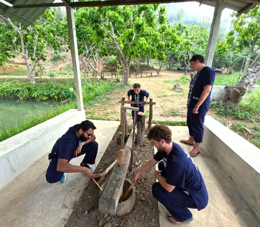 From Chiang Mai: Chiang Mai Elephant Care Morning Program - Is $54 a fair price?