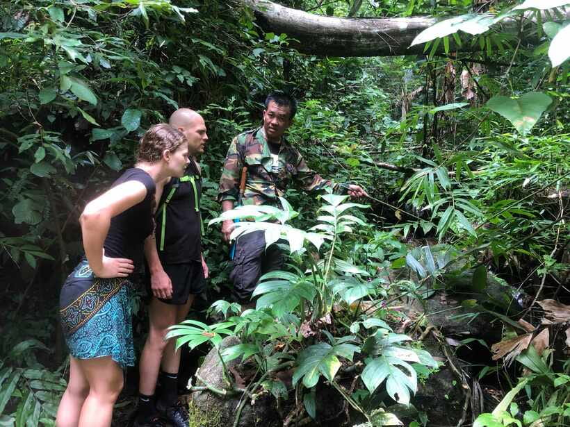 From Chiang Mai: Doi Saket Hiking Tour with Lunch - Key points before you book