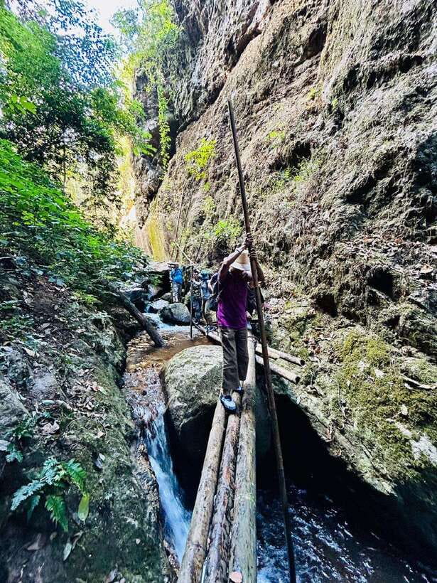 From Chiang Mai: Doi Saket Hiking Tour with Lunch - Who should book this forest adventure