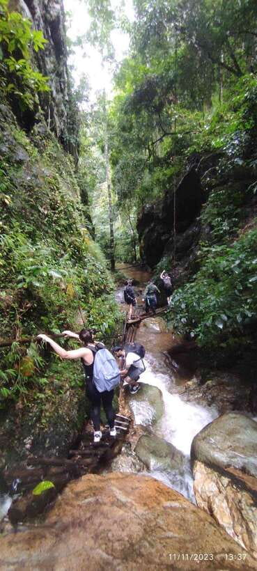 From Chiang Mai: Doi Saket Hiking Tour with Lunch - The return crosses a fallen-tree bridge