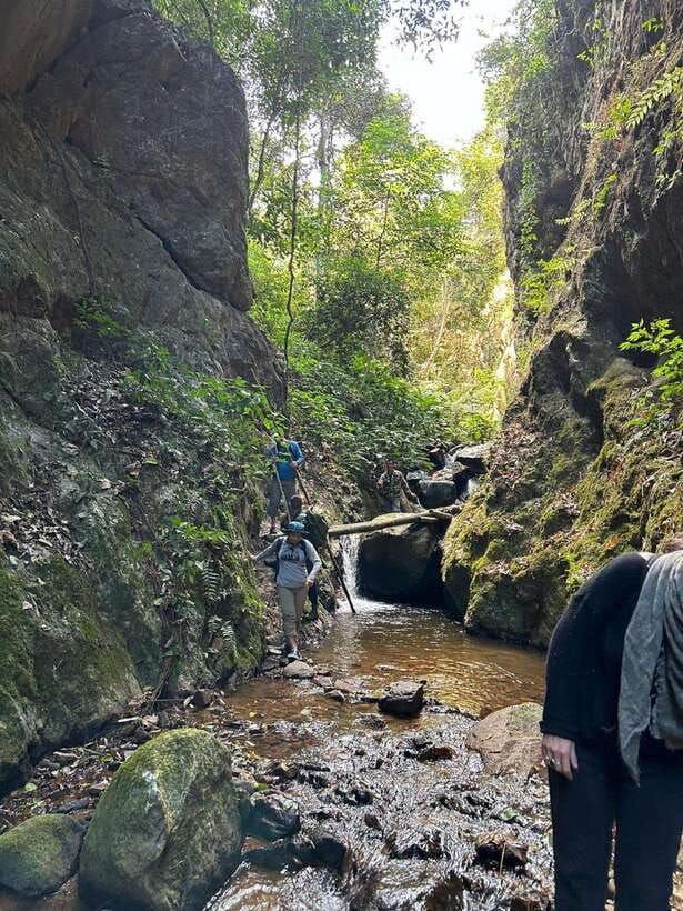 From Chiang Mai: Doi Saket Hiking Tour with Lunch - Transport, timing, and value at $57
