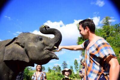 Elephant Care Program and Nursery Tour