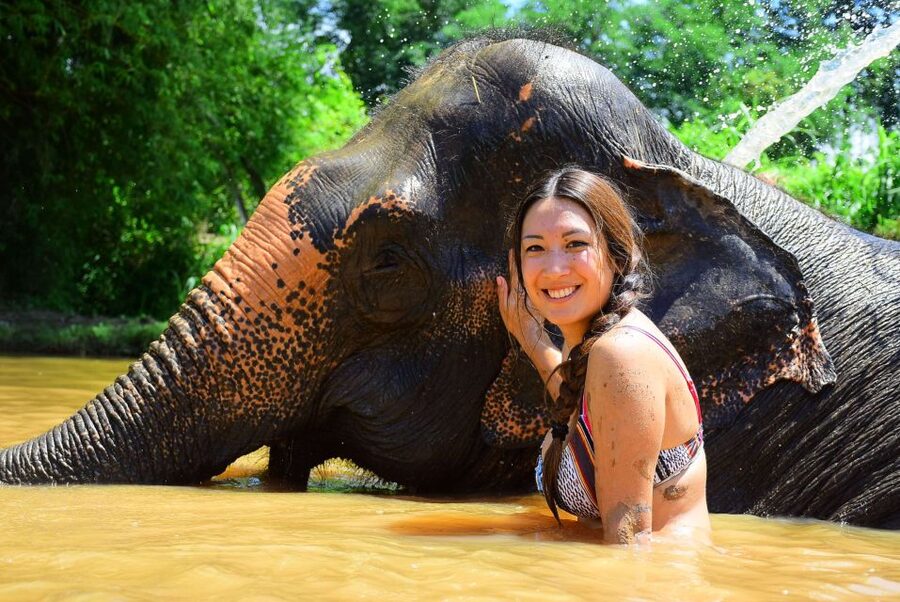 From Chiang Mai: Elephant Care Program and Nursery Tour - The mud spa and bath session