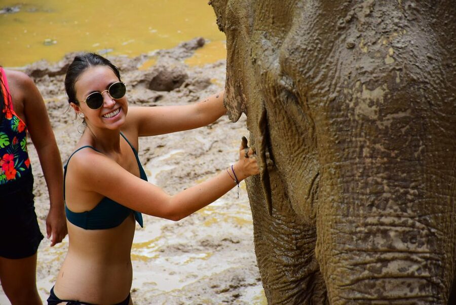 From Chiang Mai: Elephant Care Program and Nursery Tour - A Thai buffet lunch after the mud