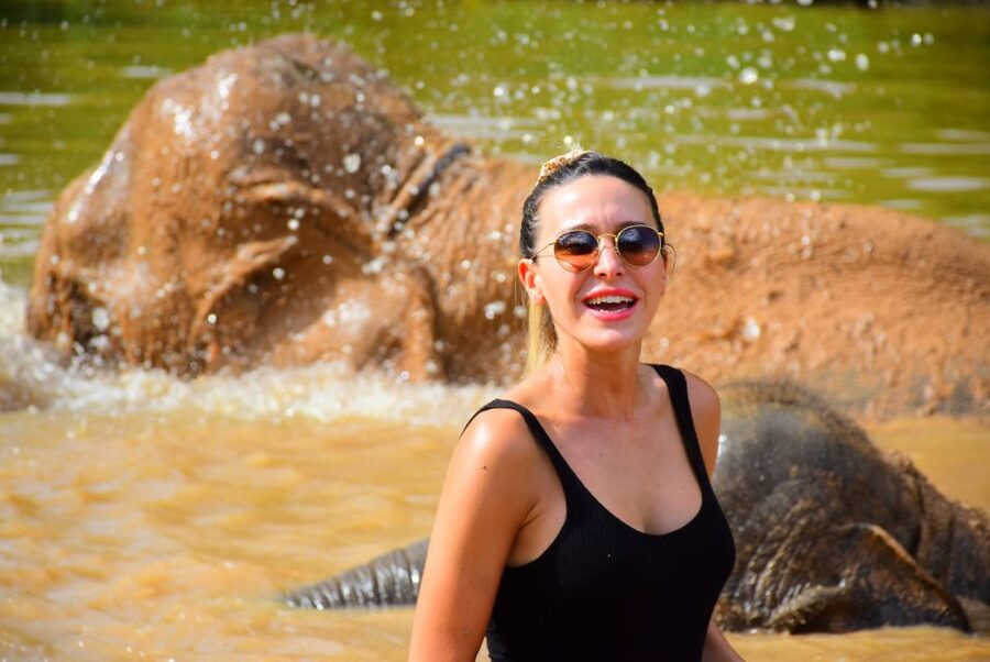 From Chiang Mai: Elephant Care Program and Nursery Tour - How crowded is the experience?