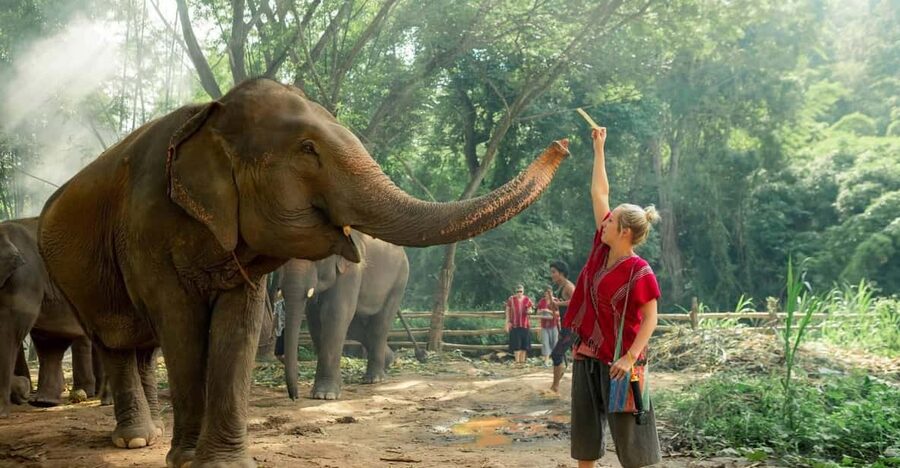 From Chiang Mai: Kerchor Eco Elephant Park Tour - The 1.5-hour road from Chiang Mai