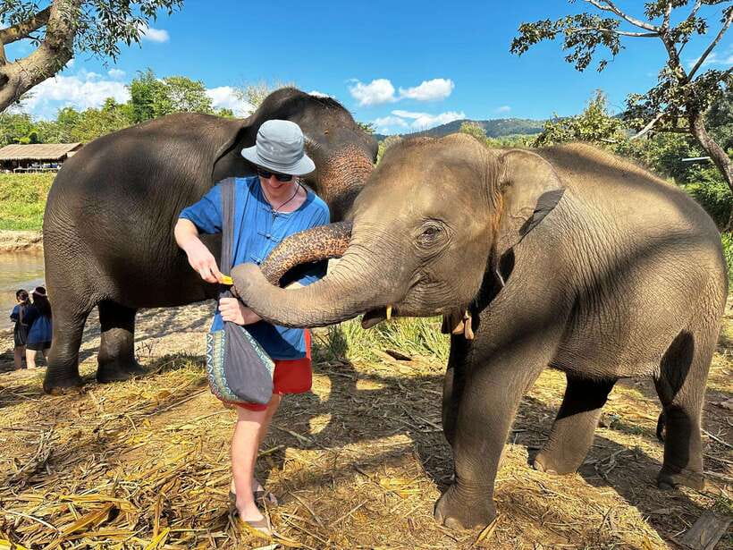 From Chiang Mai: Living Green Elephant Sanctuary Tour - Why the welfare approach matters here