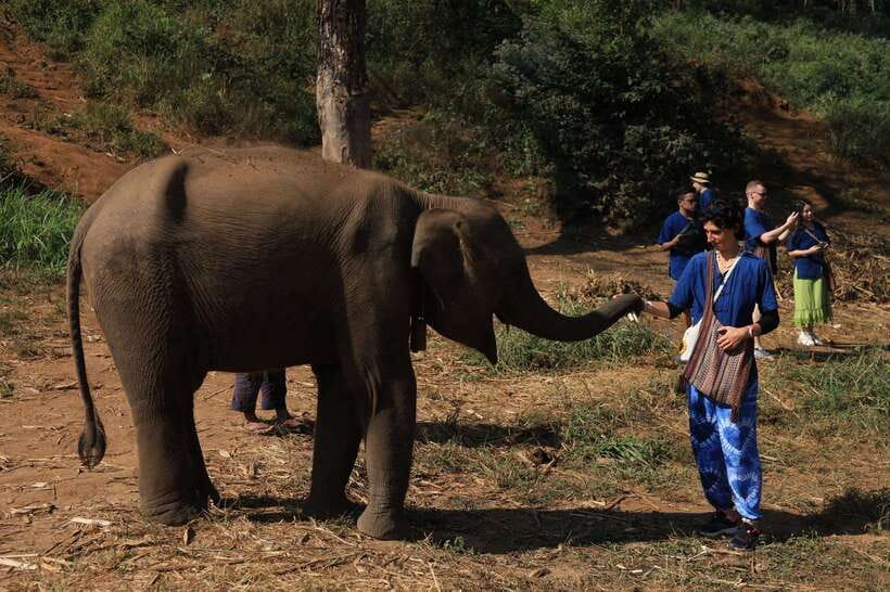 From Chiang Mai: Living Green Elephant Sanctuary Tour - Changing into Mo Hom clothing