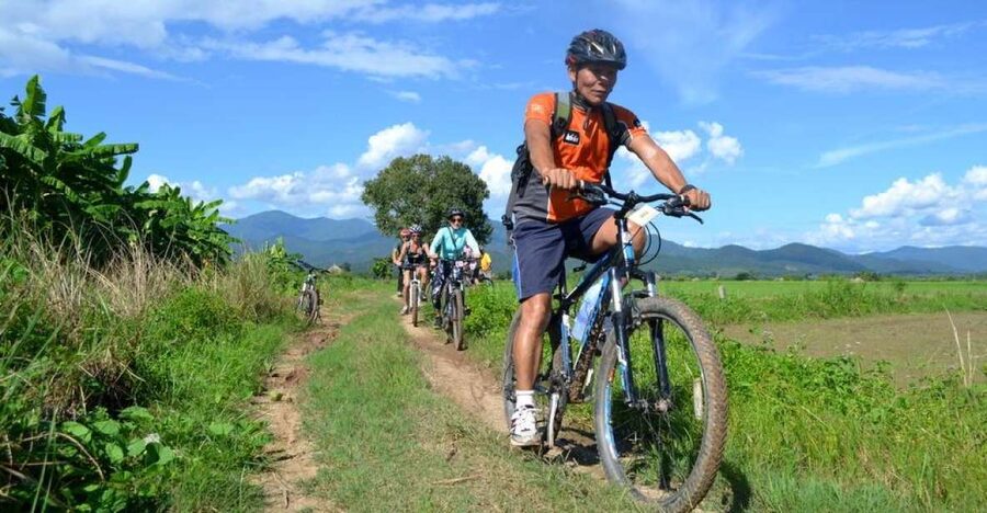 From Chiang Mai: Mae Taeng Valley and Waterfalls Cycle Tour - Riding through rice fields and village roads