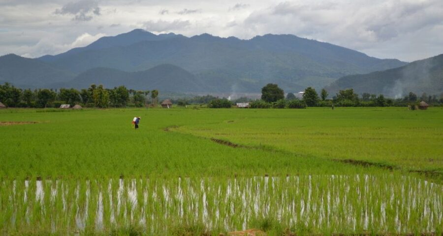 From Chiang Mai: Mae Taeng Valley and Waterfalls Cycle Tour - Wat Ban Den and the cultural pause