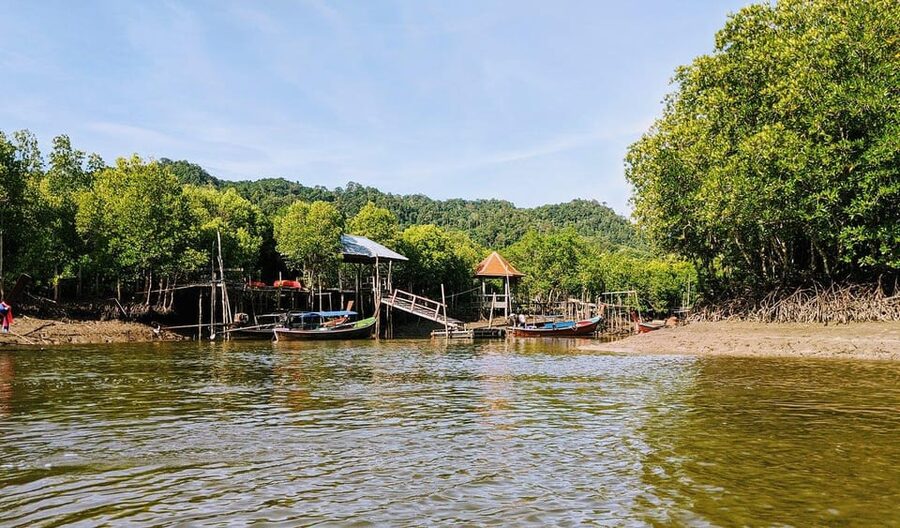 From Ko Lanta: Mangrove Eco-Excursion by Longtail Boat - Key points at a glance