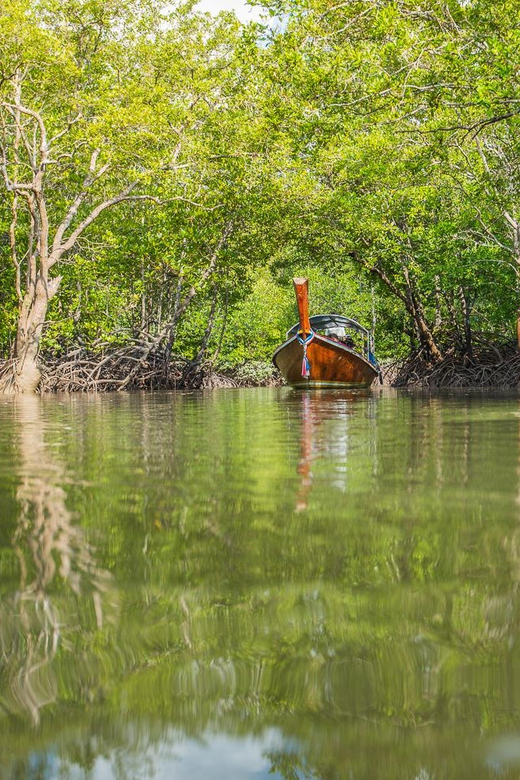 From Ko Lanta: Mangrove Eco-Excursion by Longtail Boat - A practical visit to the local fish farm