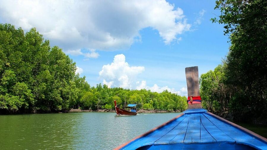 From Ko Lanta: Mangrove Eco-Excursion by Longtail Boat - The longtail boat ride through the mangroves