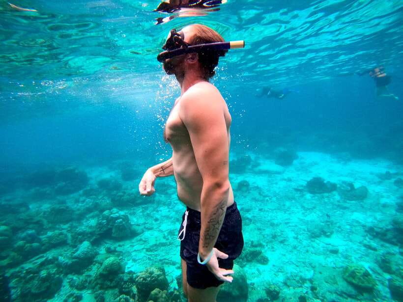 From Koh Lanta: Koh Haa & Koh Rok Snorkel Tour by Speedboat - Key points at a glance