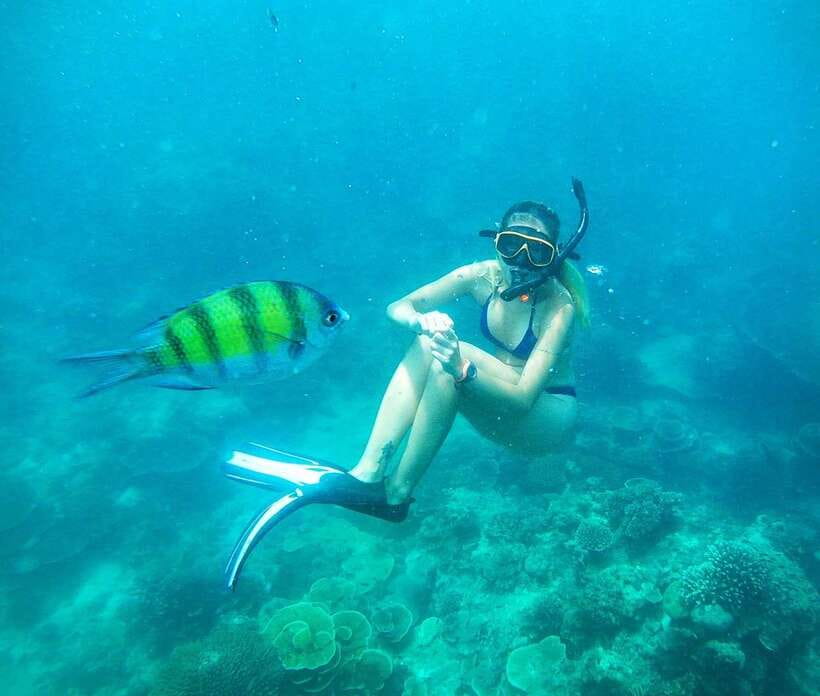 From Koh Lanta: Koh Haa & Koh Rok Snorkel Tour by Speedboat - Koh Rok Yai: lunch, white sand, and a proper break