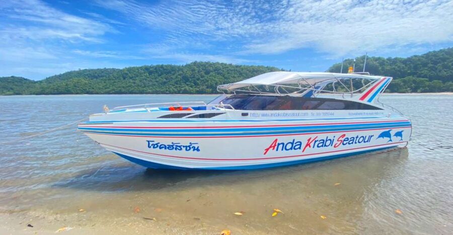 From Krabi: Phi Phi Island Full-Day Private Speed Boat Tour - The Four Things That Matter Most