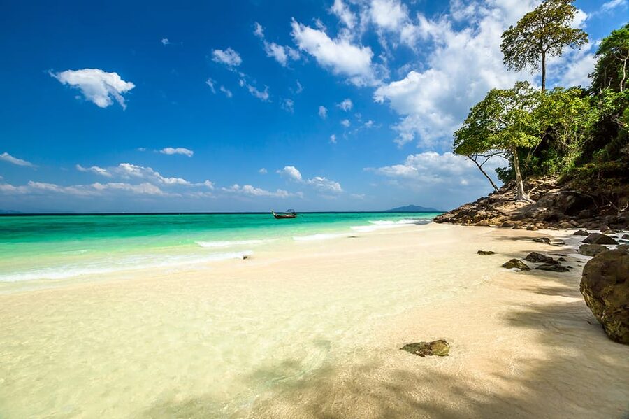 From Krabi: Phi Phi Islands Speedboat Day Tour - Loh Samah Bay and Maya Bay, Phi Phi’s famous pair