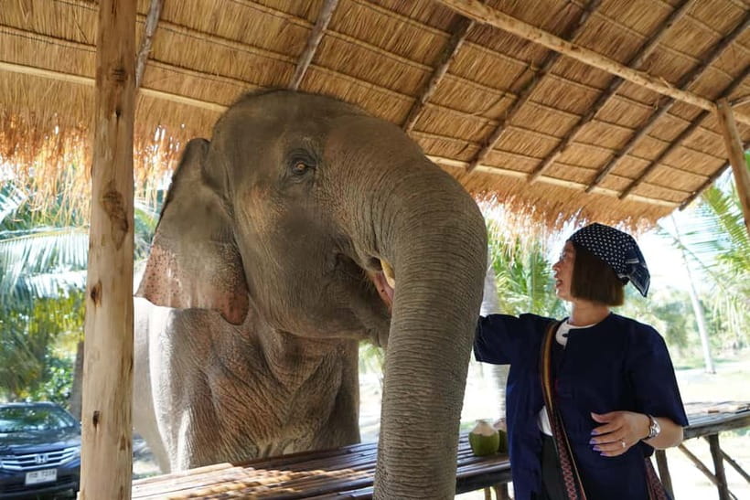 From Pattaya: Living Green Elephant Sanctuary Day Trip - Changing into Mo Hom before meeting the elephants