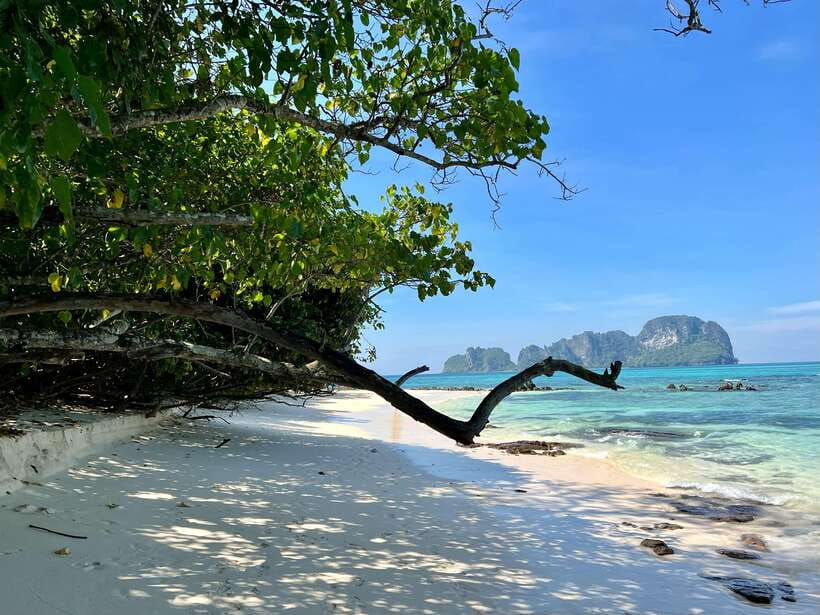 From Phi Phi: Full Day by Longtail Boat with Sunset - Maya Bay brings the famous scenery