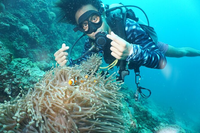 From Phi Phi: Half Day Discover Scuba (2 Dives) - Should you book Blue View Divers?