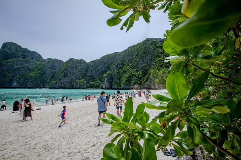 From Phi Phi: Half Day Longtail Boat Tour to Maya Bay - What this Phi Phi boat trip is really like