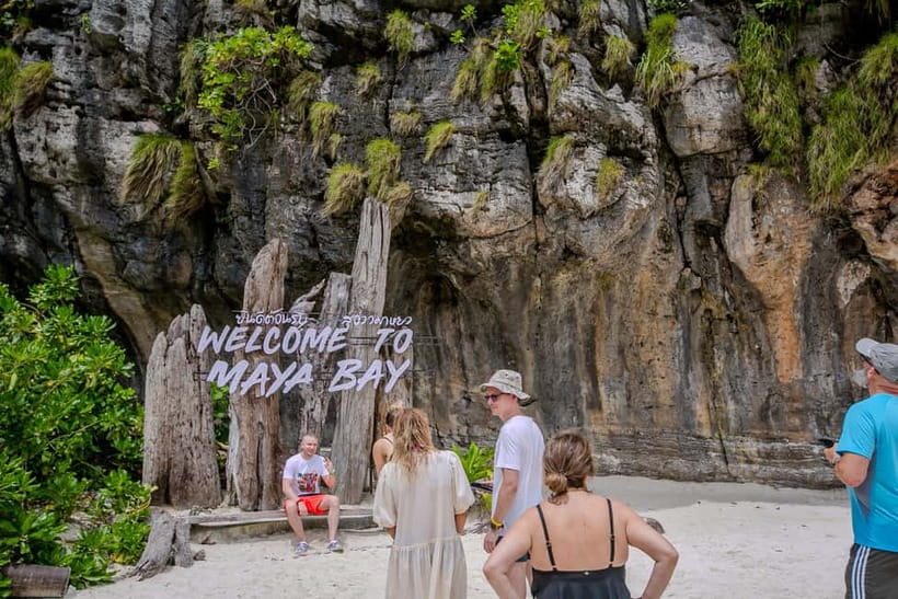 From Phi Phi: Half Day Longtail Boat Tour to Maya Bay - Monkey Beach: wildlife with a warning