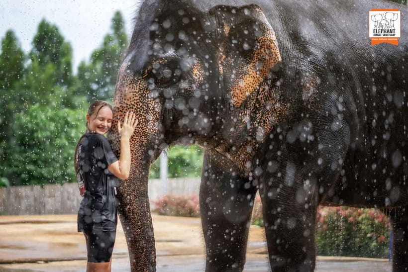 From Phuket: Elephant Jungle Sanctuary Feed and Shower Trip - The short lesson that makes the encounter better
