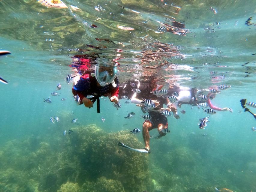 From Phuket: Phi Phi, Maya Bay, & Khai Islands Premium Trip - Lunch, shopping, and a pause on Phi Phi Don