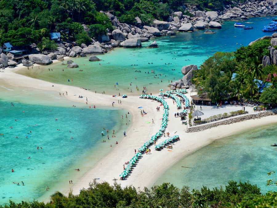 From Samui: Koh Tao and Nangyuan Snorkeling Tour Day Trip - How to prepare for a better snorkeling day