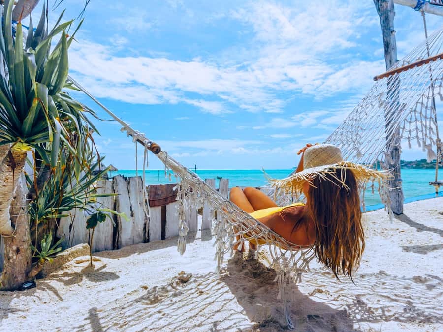 From Samui: Koh Tao and Nangyuan Snorkeling Tour Day Trip - The main strengths and the real tradeoffs