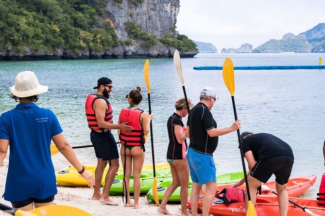 Full Day Ang Thong Islands Luxury Small Group Tour - Who should book this tour