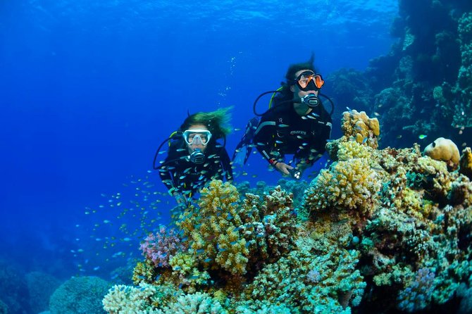 Full-Day Beginner Scuba Course with Private Tuition, Racha Yai - Lunch, Rest, and the Second Session