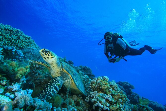 Full-Day Beginner Scuba Course with Private Tuition, Racha Yai - The Guide Makes or Breaks the Day