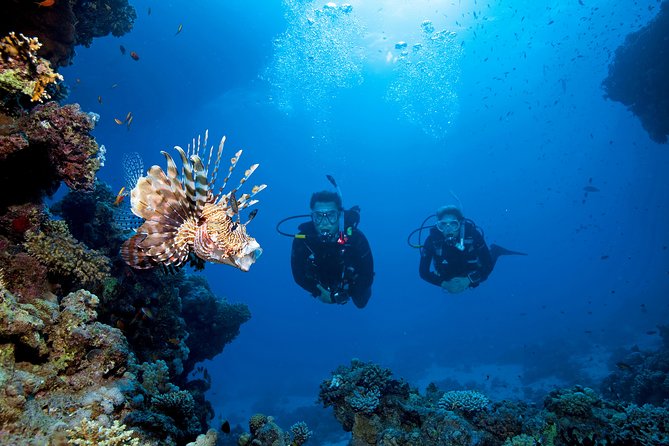 Full-Day Beginner Scuba Course with Private Tuition, Racha Yai - Is the $162.73 Price Good Value?