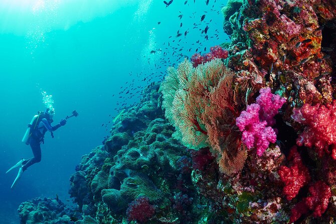 Full-Day Beginner Scuba Course with Private Tuition, Racha Yai - Who Should Book This Experience?