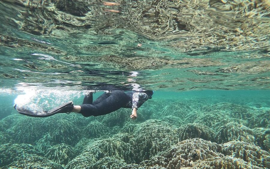 Full-Day Koh Lipe 7 points Snorkeling Experience with Lunch - Lunch, shade, and a two-hour break