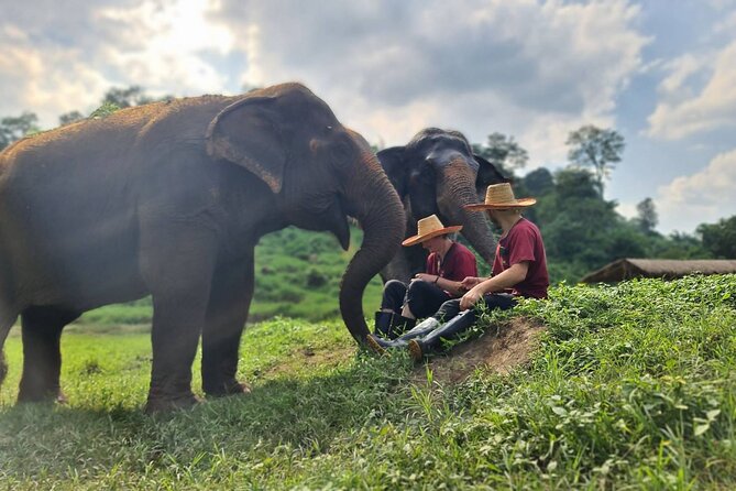 Half-Day Elephant Experience at Rantong - Thai food, fruit, and a useful finish