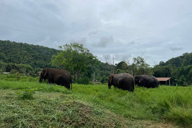 Half-Day Elephant Experience at Rantong - Changing into Karen-style clothing