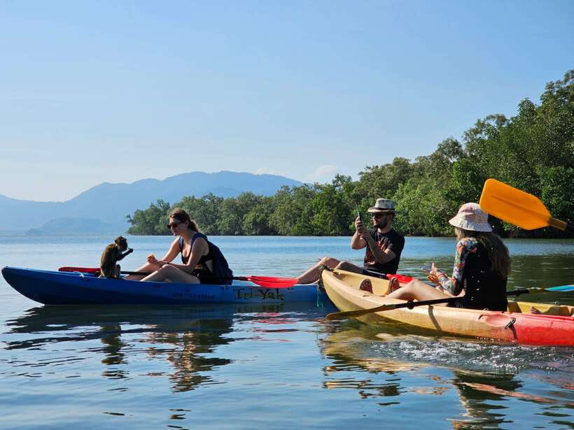 Half Day Mangrove Forest (Morning or Afternoon) - Why Thung Yee Peng makes a good half-day outing