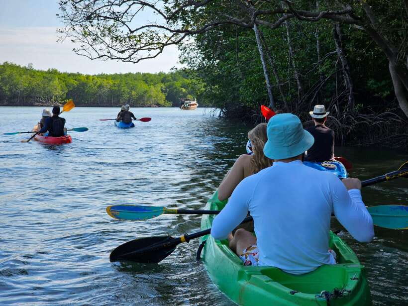 Half Day Mangrove Forest (Morning or Afternoon) - Choosing between a kayak and a longtail boat
