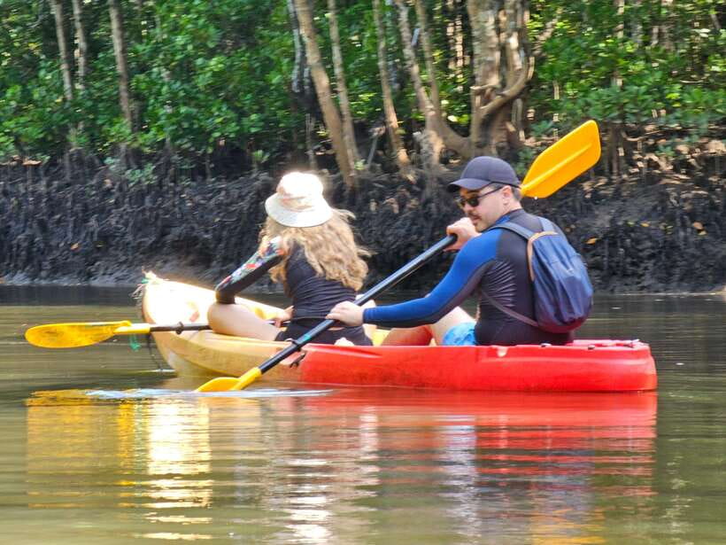 Half Day Mangrove Forest (Morning or Afternoon) - Two hours on the mangrove waterways