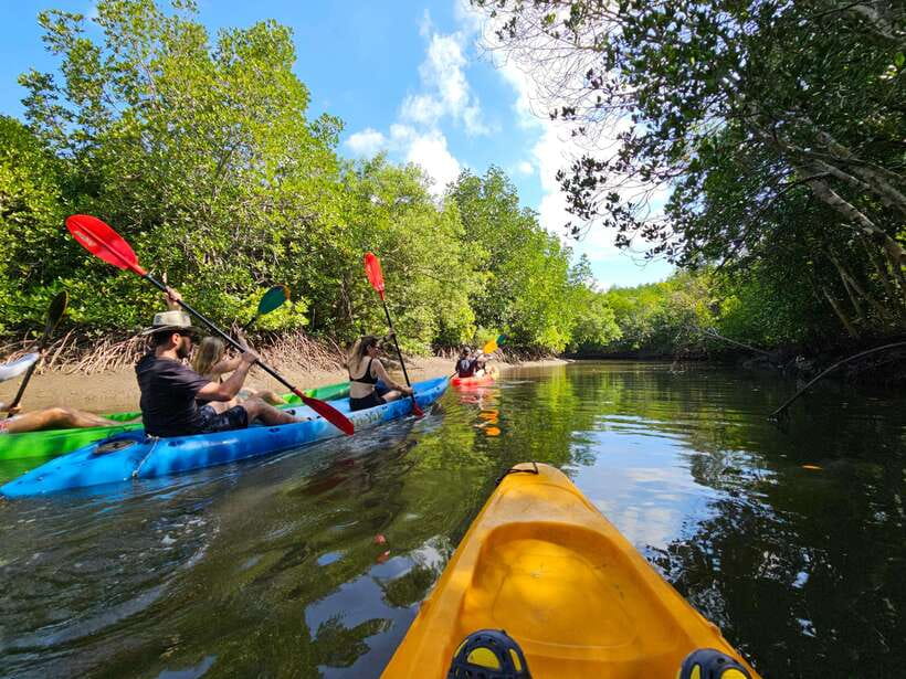 Half Day Mangrove Forest (Morning or Afternoon) - One hour around Thung Yee Peng Pier