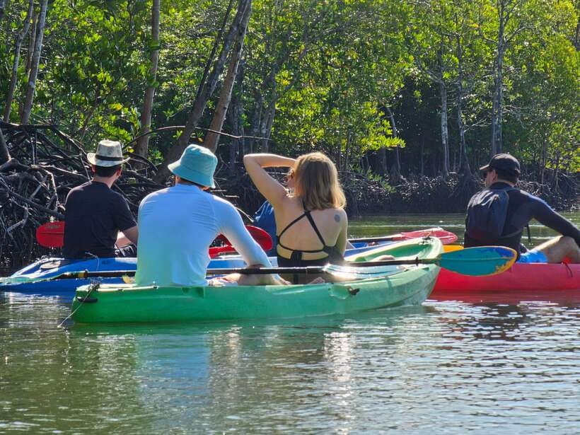 Half Day Mangrove Forest (Morning or Afternoon) - Who will enjoy this trip most
