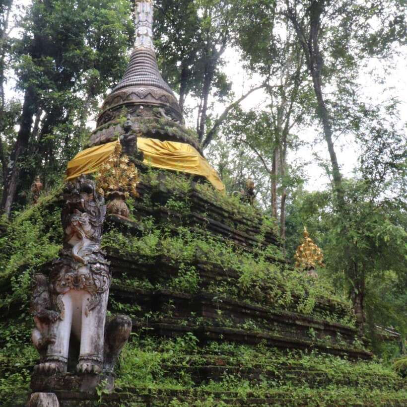 Half Day Morning Wat Pha Lat & Wat Phra That Doi Suthep Tour - What the $24 price really covers