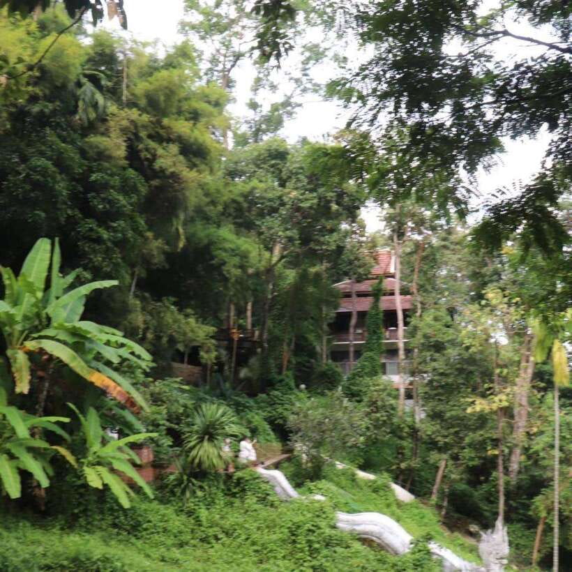 Half Day Morning Wat Pha Lat & Wat Phra That Doi Suthep Tour - Who will get the most from this half-day tour