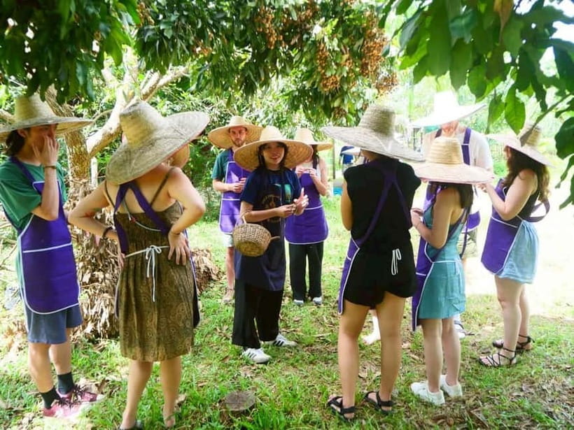 Half-Day Thai Cooking Class on a Local Farm Near Chiang Mai - From market produce to an organic farm