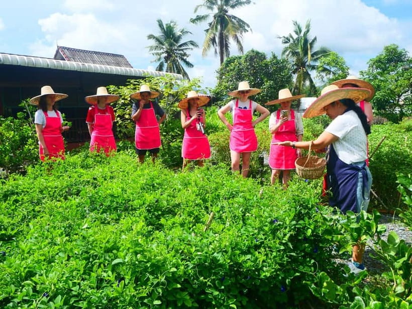 Half-Day Thai Cooking Class on a Local Farm Near Chiang Mai - What kind of cook will enjoy this most?