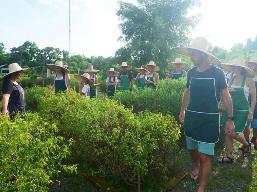 Half-Day Thai Cooking Class on a Local Farm Near Chiang Mai - Booking details worth checking before you go