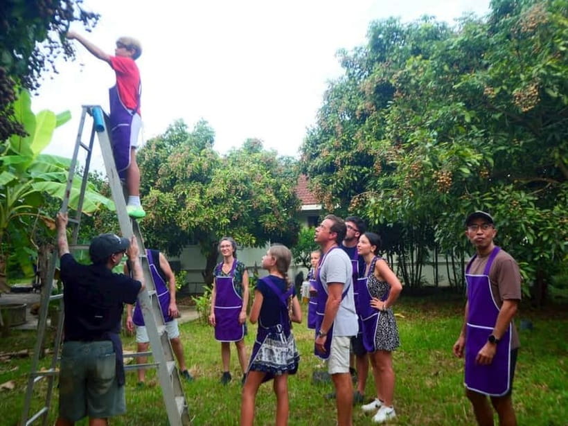 Half-Day Thai Cooking Class on a Local Farm Near Chiang Mai - Hands-on cooking with Pad Thai and Tom Yum Goong